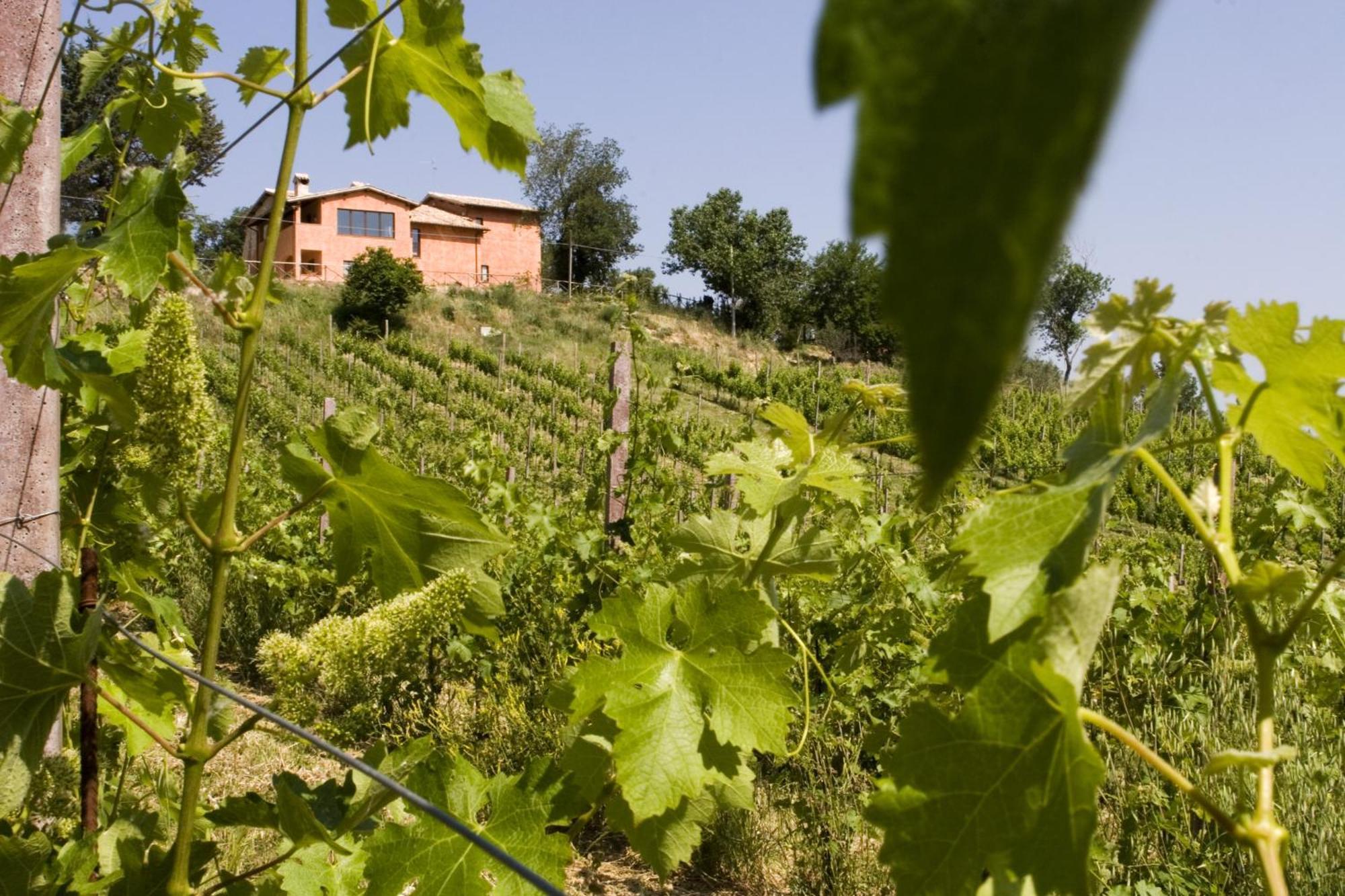La Tenuta Dei Ricordi Castel Ritaldi Exteriér fotografie